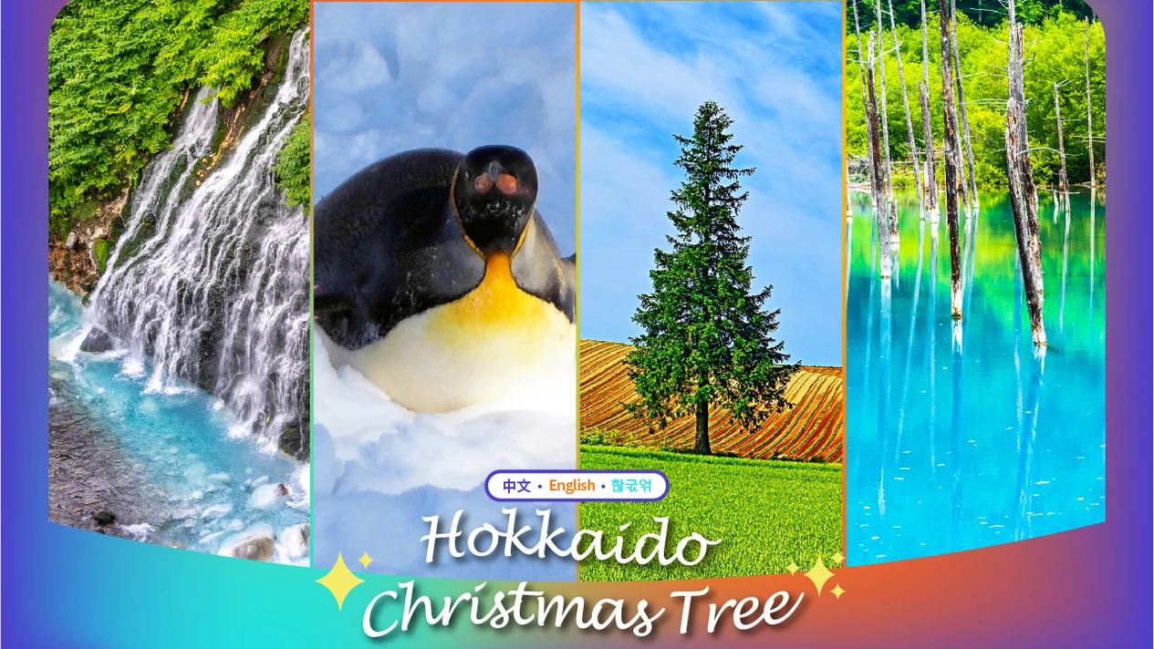 【北海道夢幻冬景巡禮】旭山動物園&網紅聖誕樹&青池&白鬚瀑布一日遊（札幌出發）