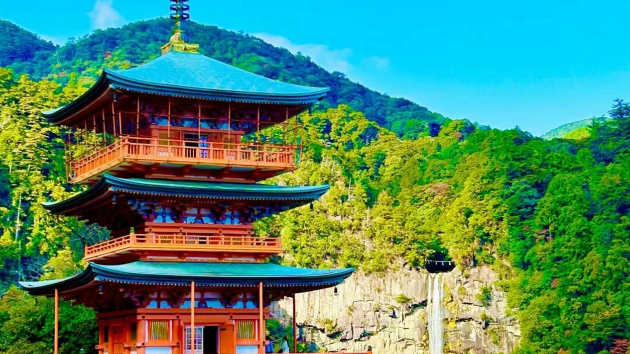 Kumano Kodo Hiking & Nachi Falls One-Day Tour (Departing from Nagoya)
