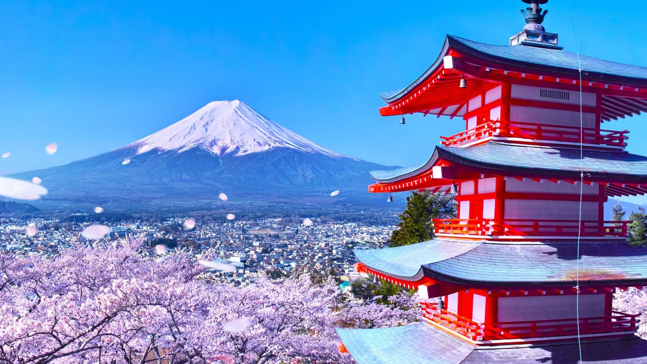 富士山全景一日遊 （東京出發）