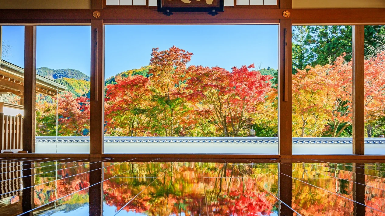 寶德寺 & 織姬神社「楓葉谷」 & 足利花卉公園賞楓一日遊