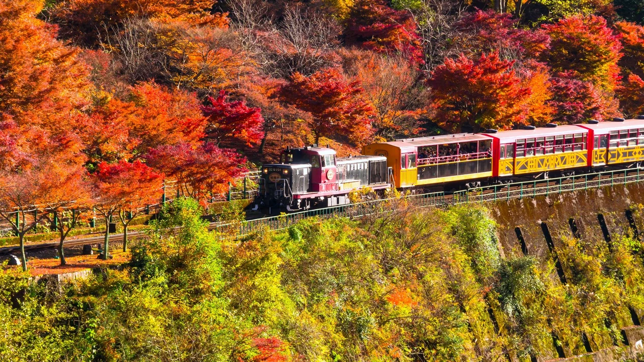 由大阪出發：嵯峨野小火車之旅及導賞一日遊