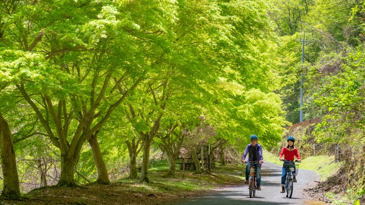 東京奧多摩山區半日單車探險，品嚐現磨山葵