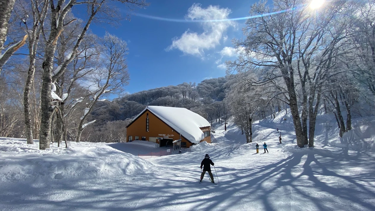 日本長野野澤溫泉滑雪場｜私人中文滑雪課程 3/6小時