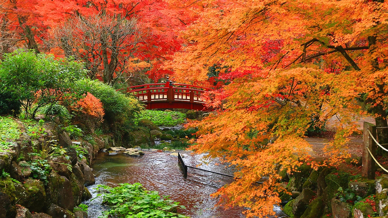 Izu & Atami: One-day trip to Shuzenji Hot Spring and Maple Viewing Holy Land (departing from Tokyo or Shinjuku)