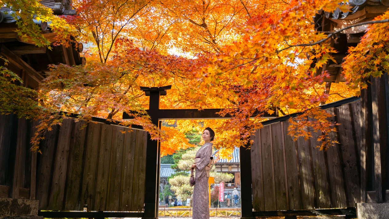 京都和服租賃體驗（京嵐和服出租提供）