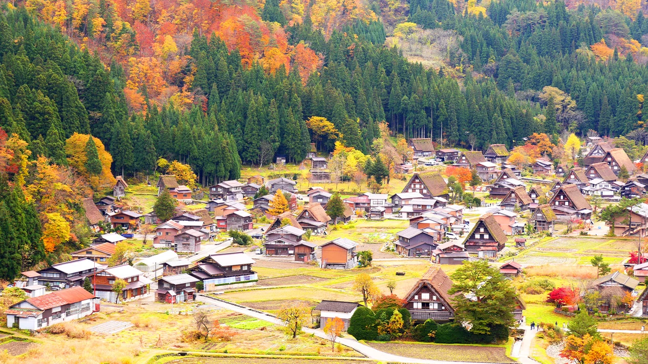 Hida Takayama & Shirakawa-go Gassho Village One-Day Tour (Departing from Nagoya)
