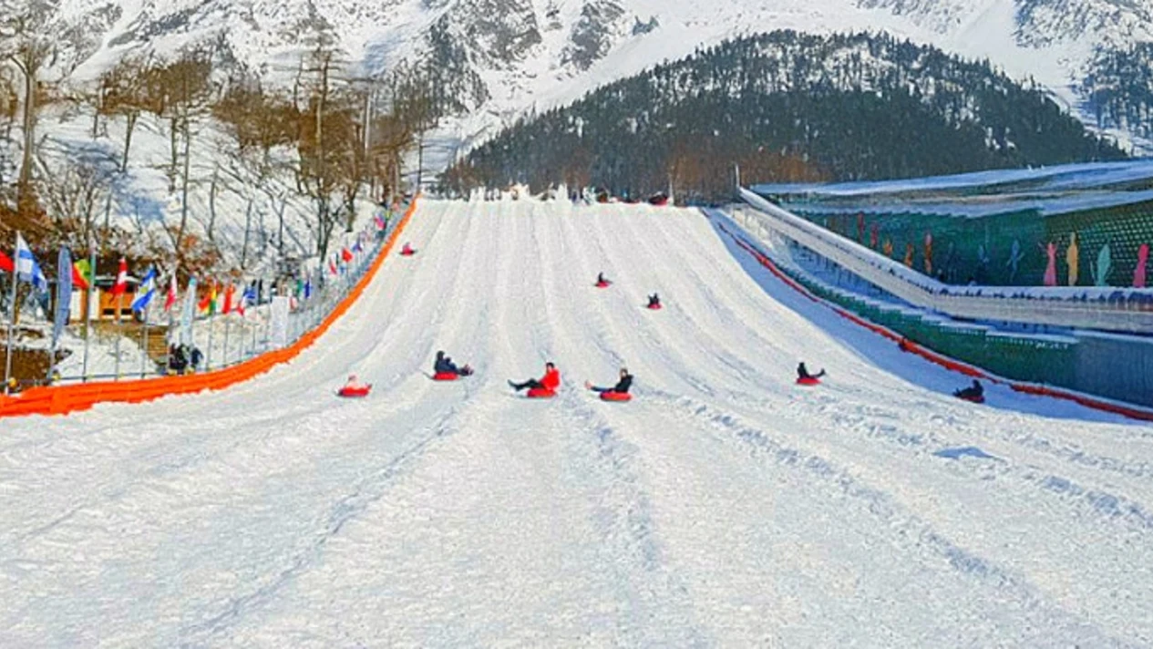 Gyeonggi-do Yangju Snow Festival Day Tour from Seoul