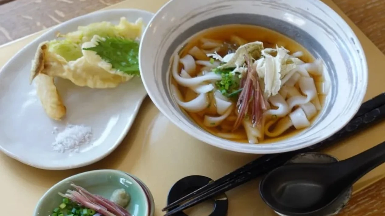 Tokyo - Vegan Gluten-Free Oolong Cooking Class