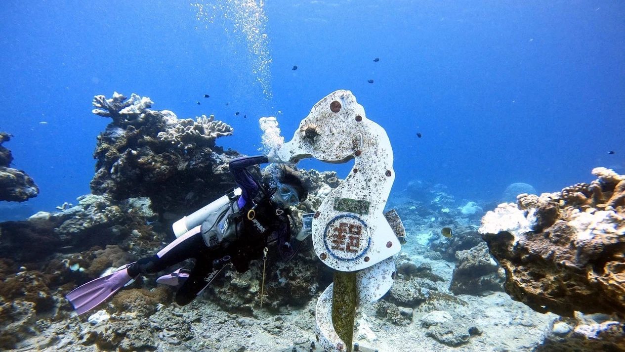 台東｜綠島私家潛水旅宿｜體驗潛水・OW初階潛水員課程