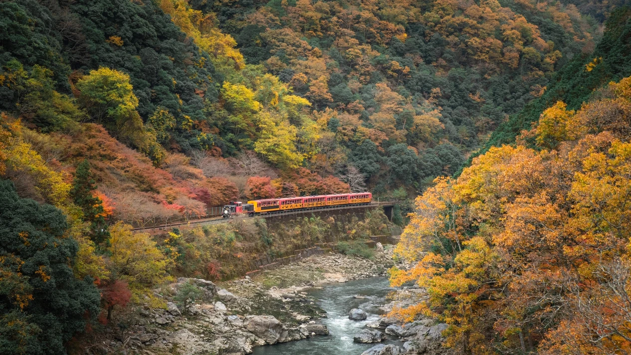 嵐山小火車＆世界遺產「平等院」一日遊