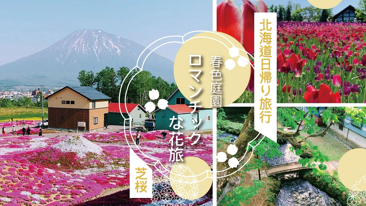Hokkaido Shibazakura & Tulip Day Tour: Niseko & Yoteiyama Water Park & Jozankei (Lunch Included) - Depart from Sapporo