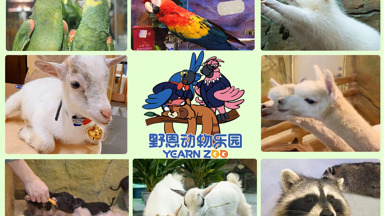 深圳野恩動物樂園（龍崗萬達廣場店）能摸、能抱、投餵互動、零距離接觸萌寵