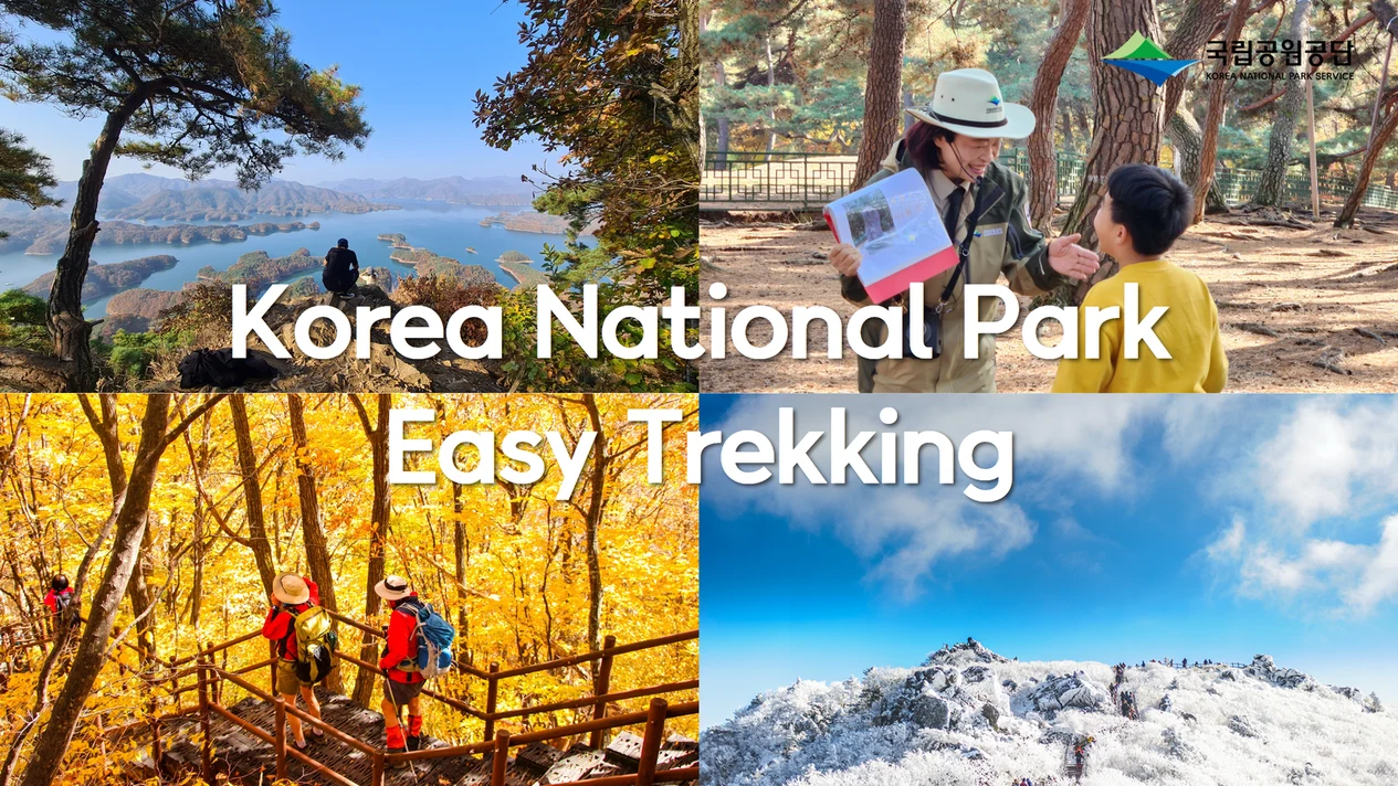 One-day tour to Korean National Parks (from Seoul)