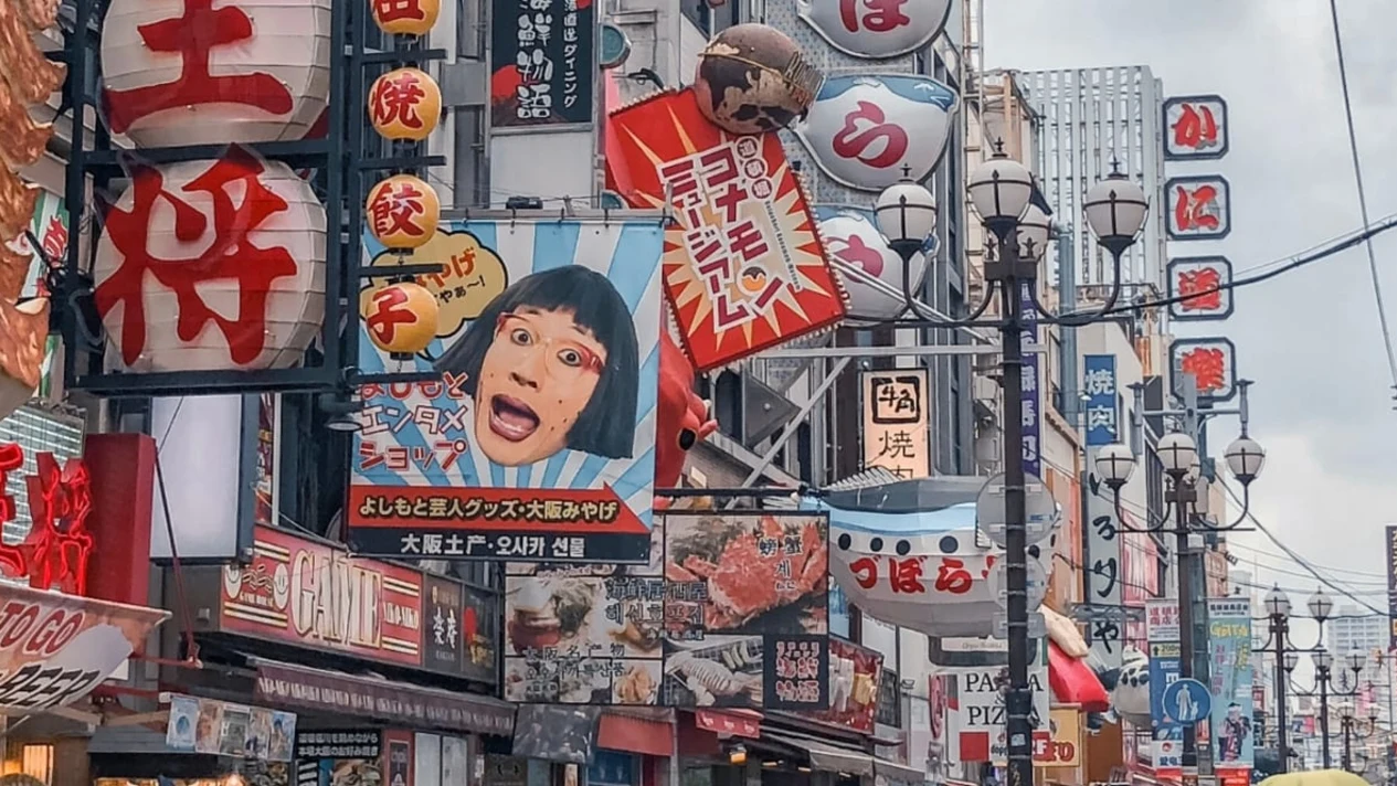 Osaka City Private Sightseeing Day Tour