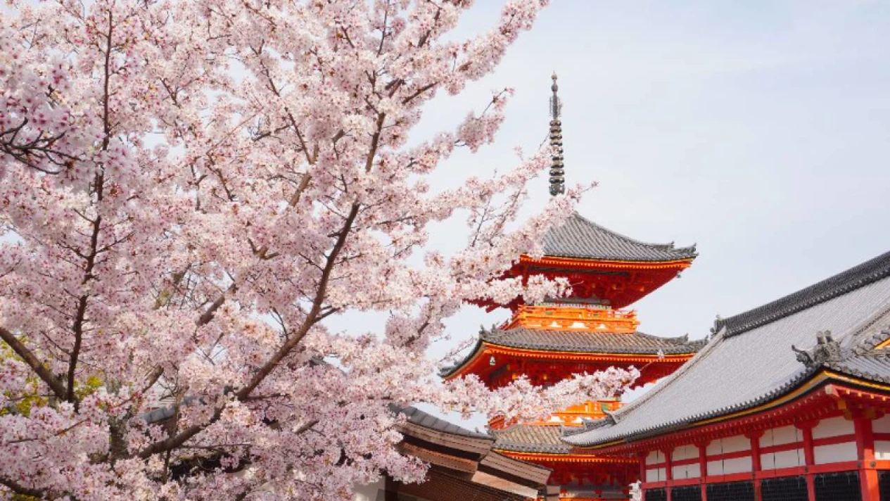 Kyoto｜One-day tour of Kiyomizudera Temple, Kinkakuji Temple and Arashiyama (departing from Osaka and Kyoto in a small group)