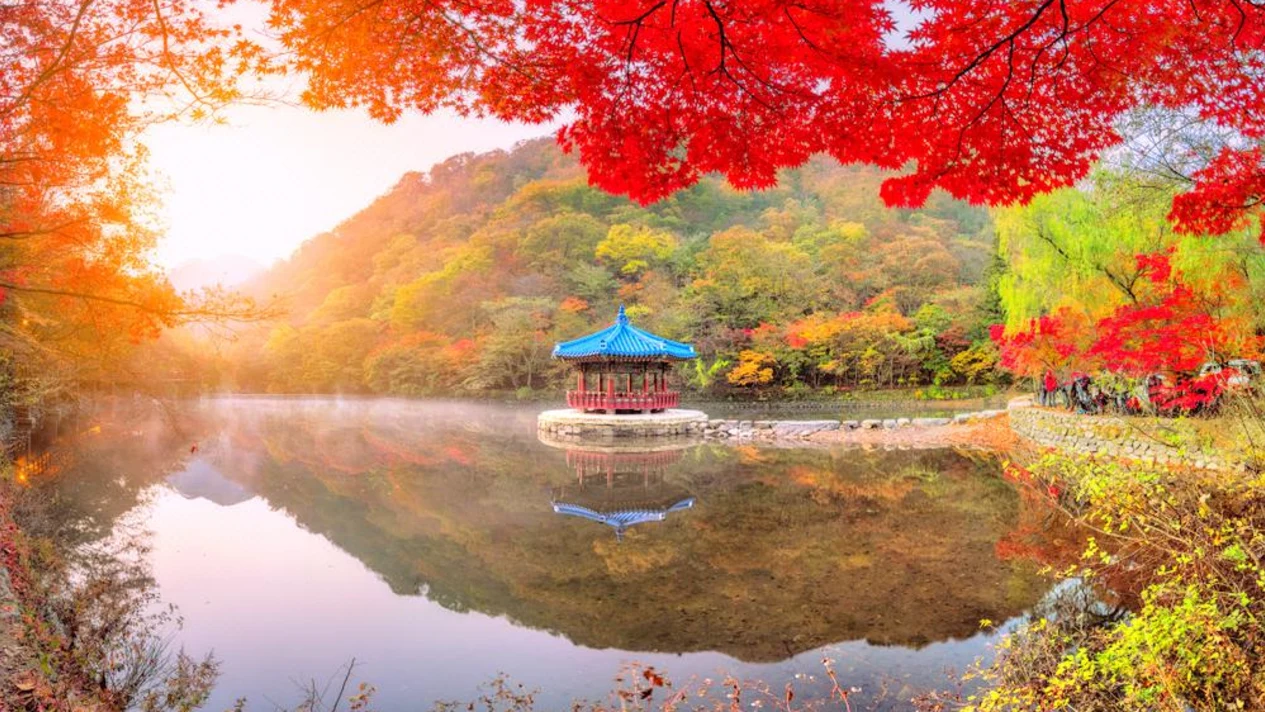內藏山國立公園 - 首爾／釜山出發秋季賞楓一日遊