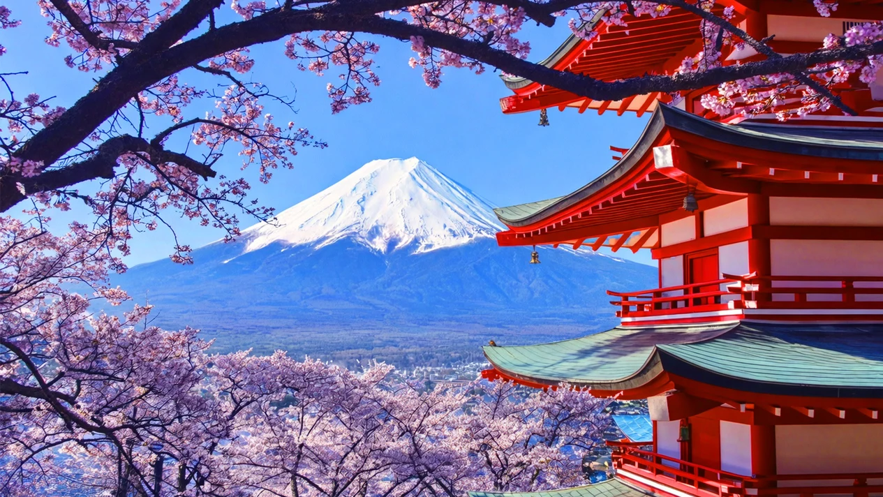 One-day trip to the magnificent scenery of Mount Fuji (from Tokyo)