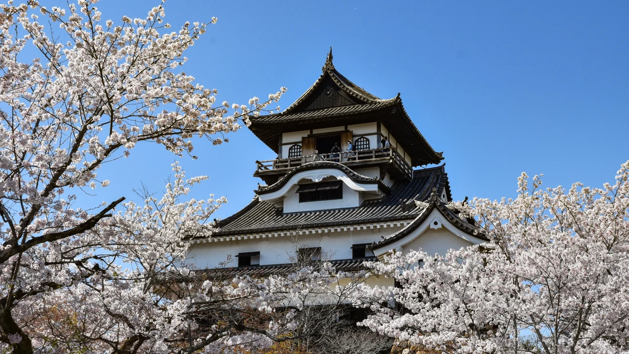 Inuyama Castle & Ena Gorge & Magome-juku & Tsumago-juku (Depart from Nagoya)