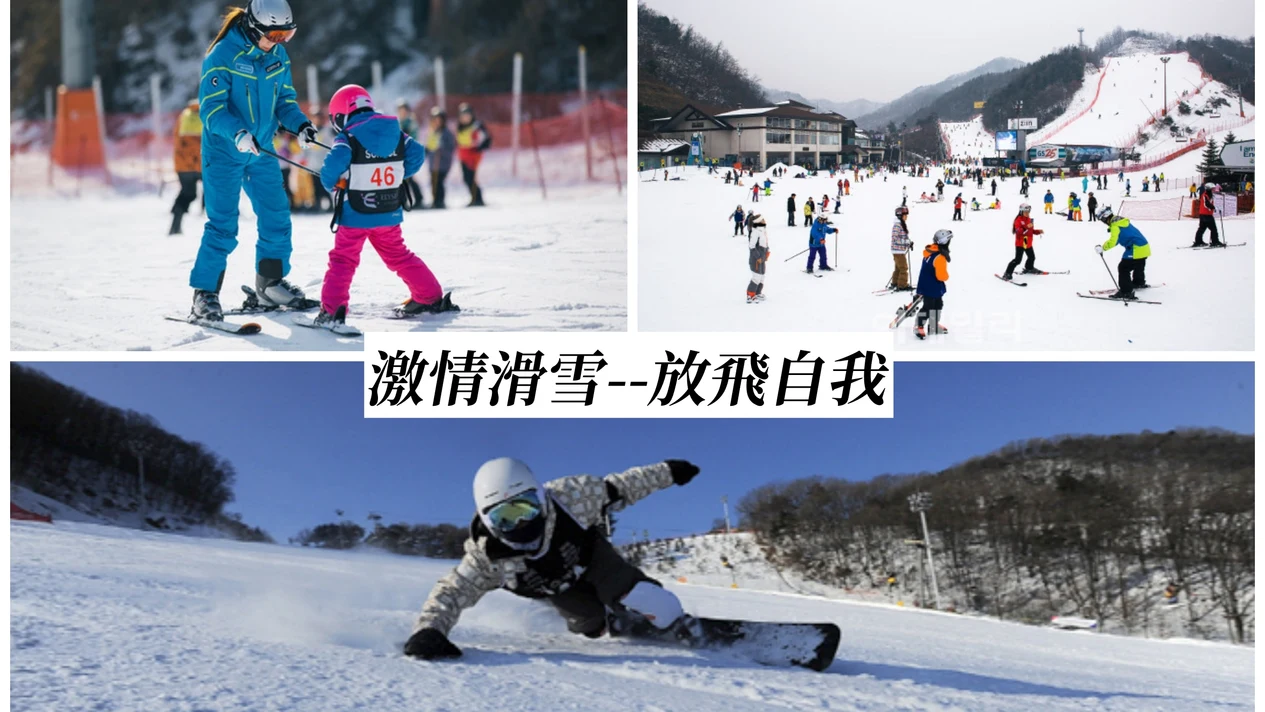 韓國滑雪私人之旅（首爾出發）