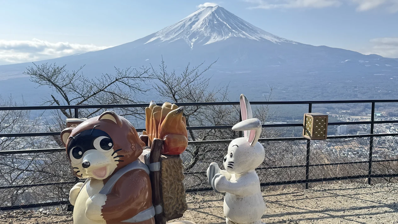 Mount Fuji Oishi Park & All-You-Can-Eat Grape Experience & Kiyosato Observation Deck One-Day Tour (Departing from Shinjuku, Tokyo)