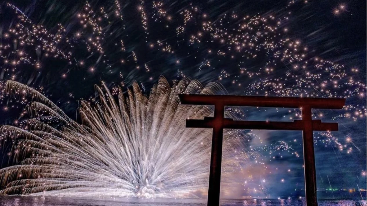 The 44th Luminari City Fireworks Festival & Ibaraki Hitachi Seaside Park One-Day Tour (Departing from Tokyo)