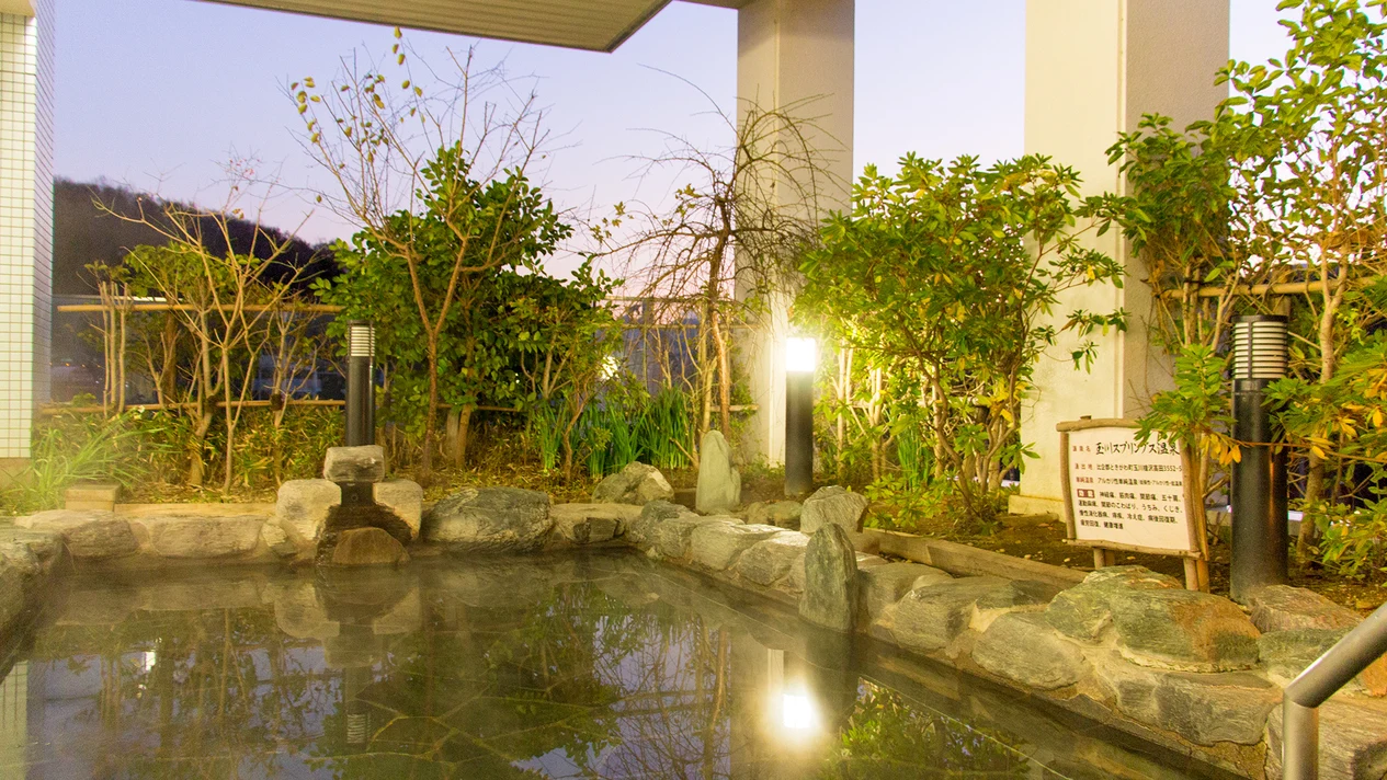 Admission ticket to facilities at the New Sampia Hotel in Saitama Koshiicho