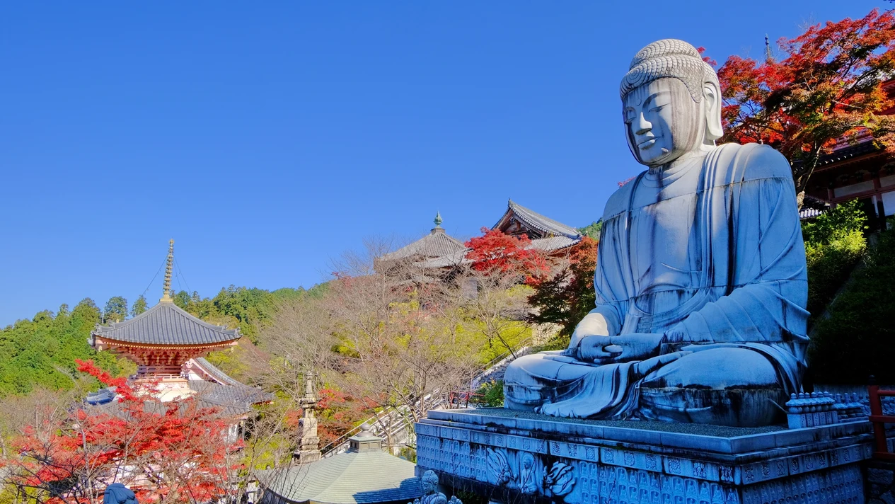 Autumn Maple Buddha Statue and Yoshino Mountain Leaf Viewing and Orange Picking Tour (Depart from Osaka)