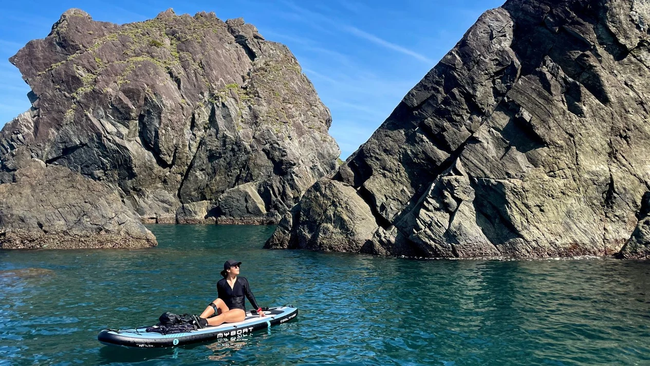 Yilan: Dong'ao Bay Pink Bird Forest - SUP Experience (Sunday/General Session)