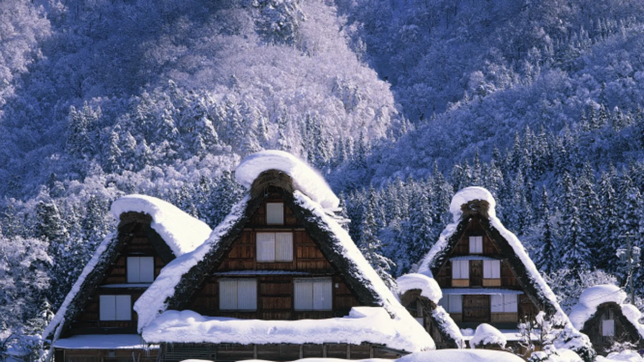 2 days 1 night Shirakawago & Takayama & Shinhotaka Ropeway Bus Tour
