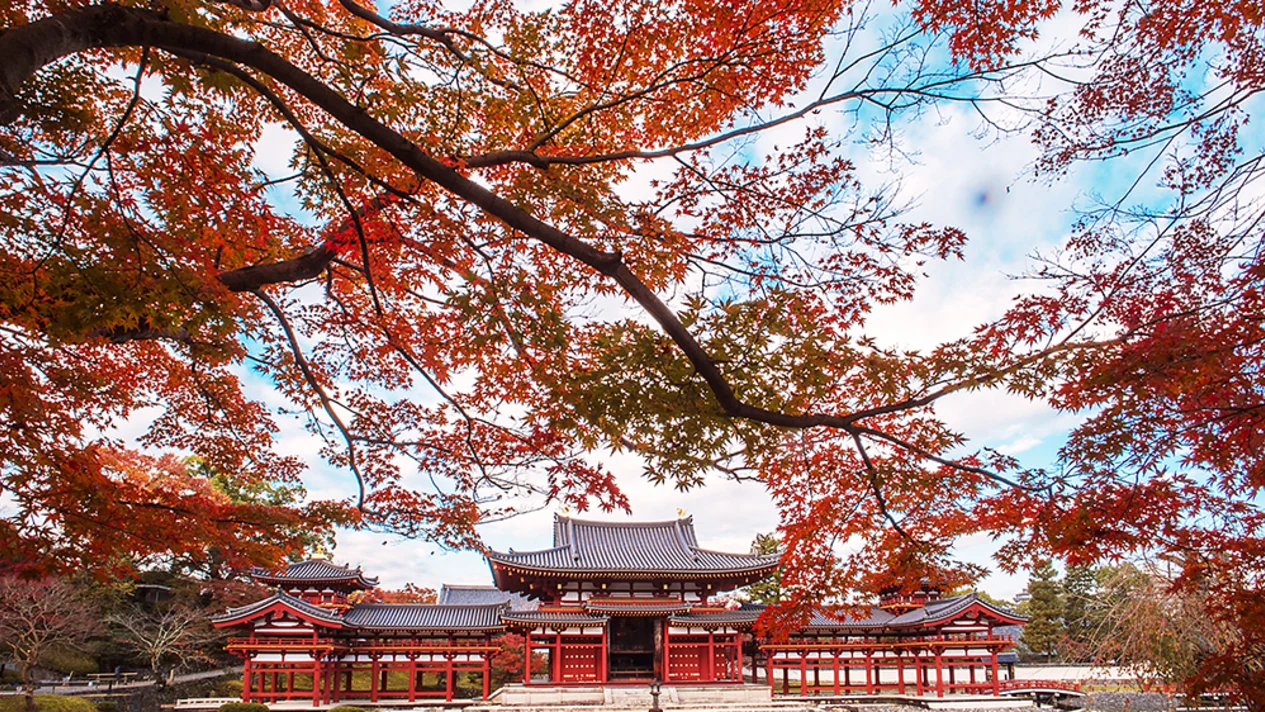 京都 & 奈良黃金路線巴士一日遊（京都出發）