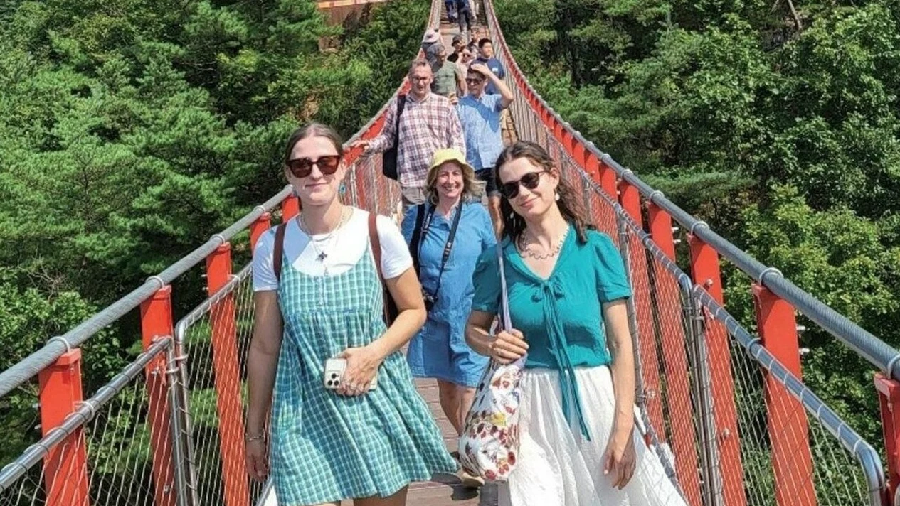 從首爾出發：DMZ非軍事區之旅：獨家脫北者講座及吊橋