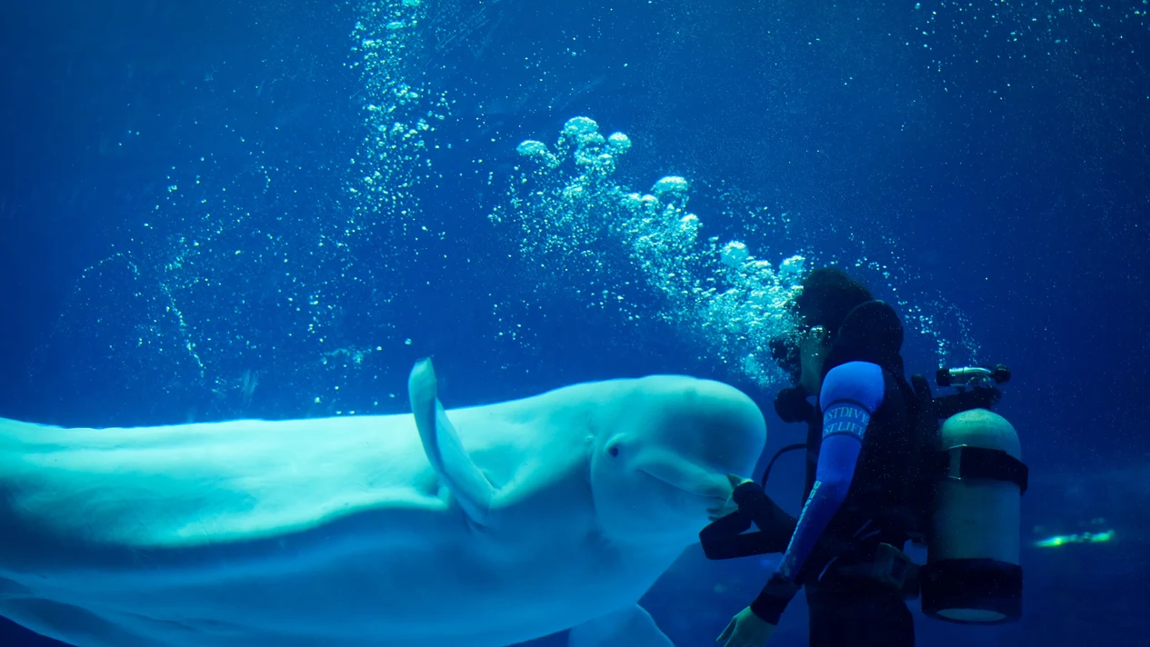 Guangzhou Zhengjia Polar Ocean World