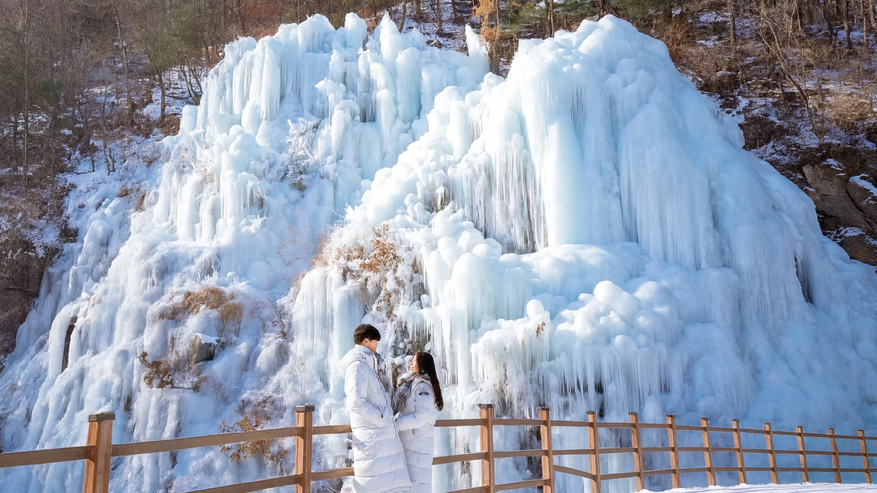 Nami Island & Strawberry Picking Day Tour (Departing from Seoul)