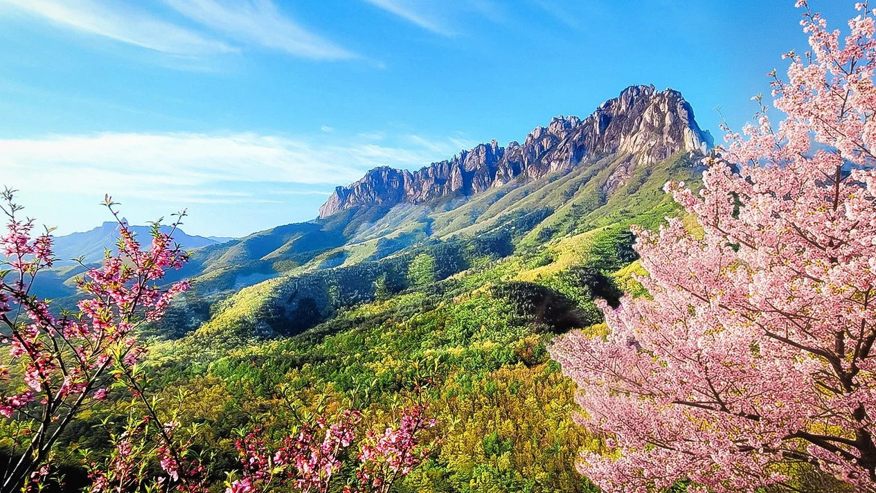 Seoraksan Mountain/Cable Car/Mud Pony Park/Rail Bike/Morning Calm Arboretum Tour
