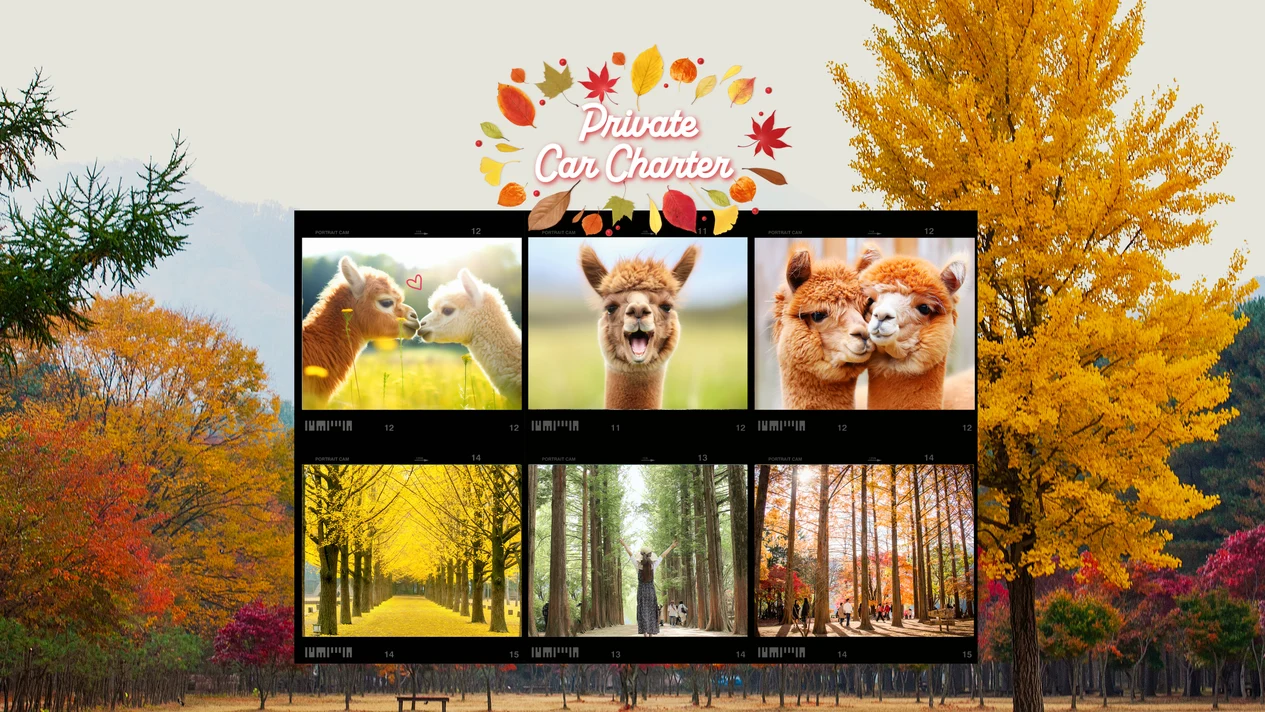Seoul Chartered Car Transfer: Suburbs of Nami Island & Choni Horse Land