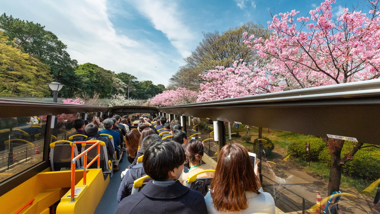 東京城市開篷巴士觀光之旅