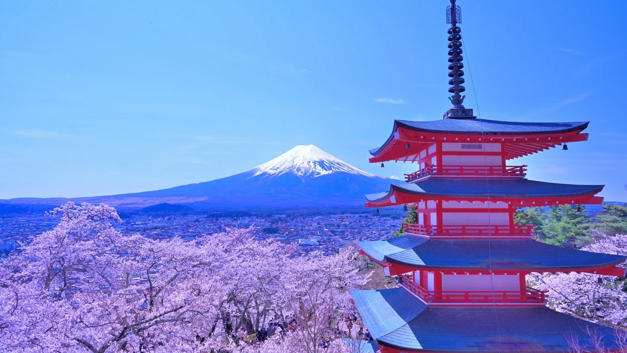 【富士山絕景一日遊・可升級A5頂級和牛「神戶牛」午餐】新倉富士淺間神社&河口湖紅葉迴廊&大石公園＆西湖療愈里根場 （品川站或新宿站出發）