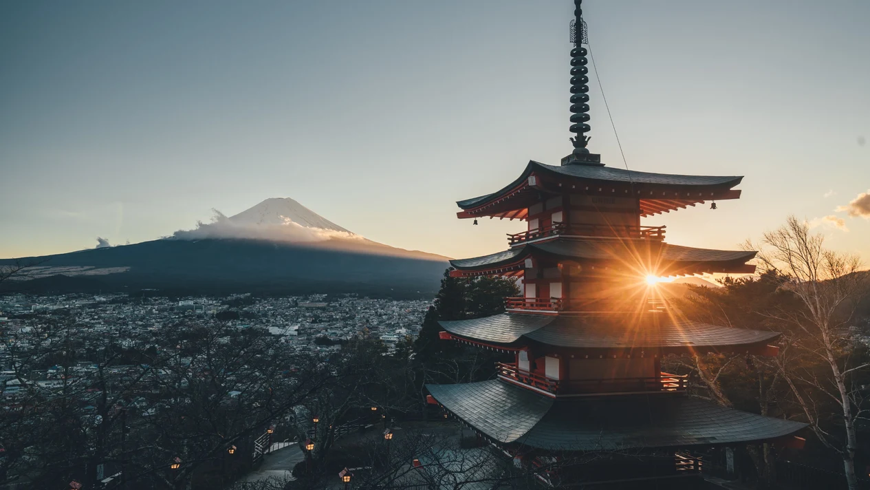 Mount Fuji Day Trip: Flower Viewing and Visiting Gotemba Outlets (Departing from Tokyo)