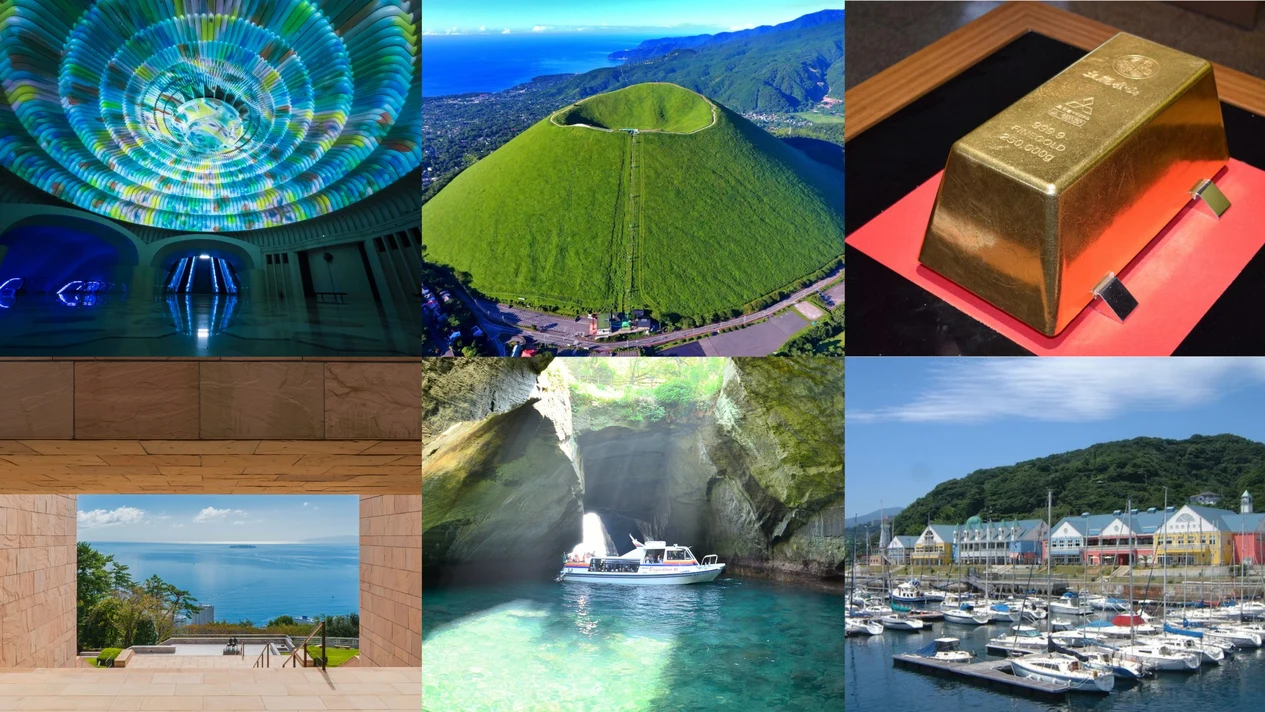 Mount Omuro & moa art museum & Donoshima Cruise & Tobi Kaneyama + Shuzenji Temple two-day tour (departing from Tokyo)