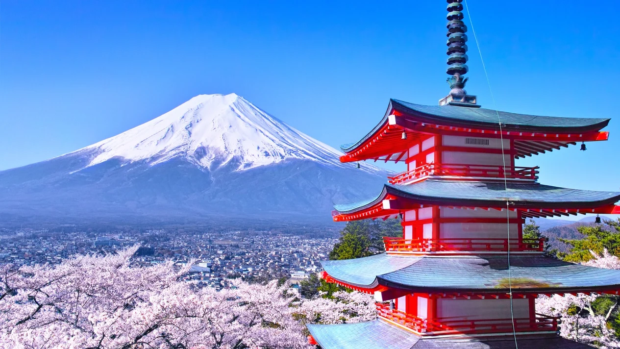 [Popular Mt. Fuji check-in attractions] One-day trip to Mt. Fujimojita Internet Celebrity Park & Hikawa Clock Shop & Lawson Convenience Store & Oshino Hakkai & Oishi Park (departing from Tokyo Station or Shinjuku Station)