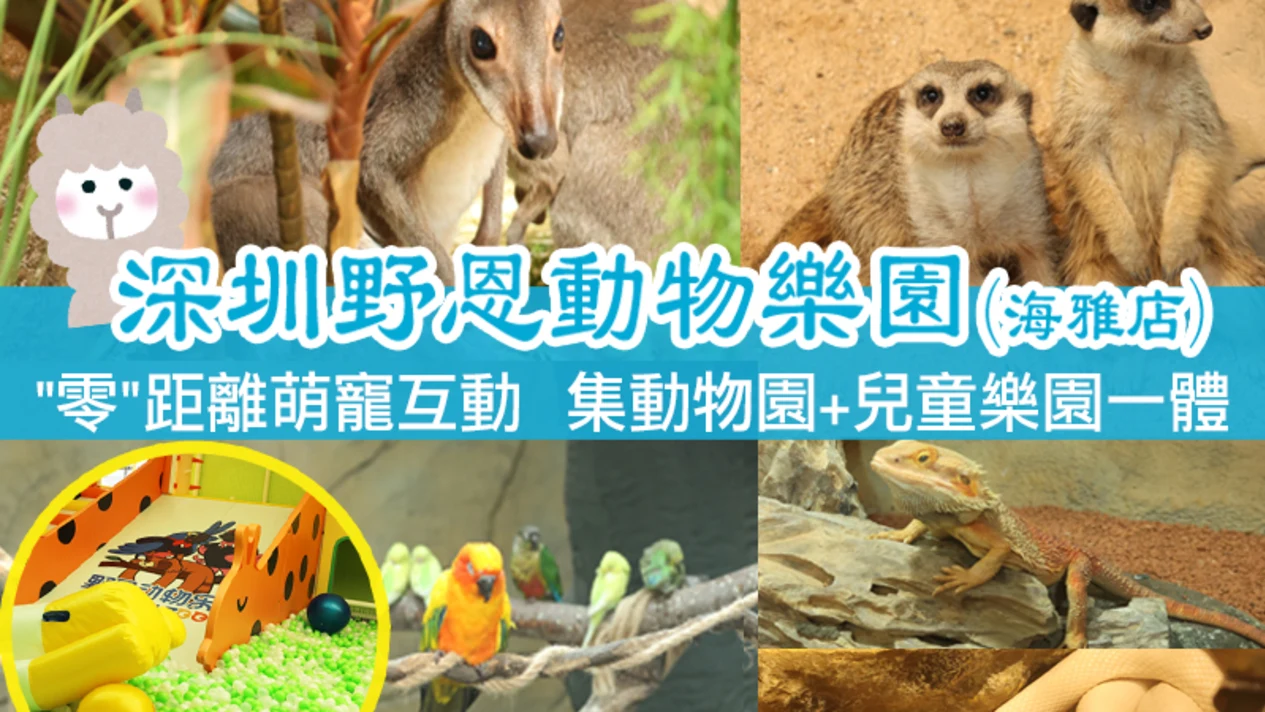 深圳野恩動物樂園（寶安海雅店）可觸摸、可擁抱、投餵互動、零距離接觸萌寵