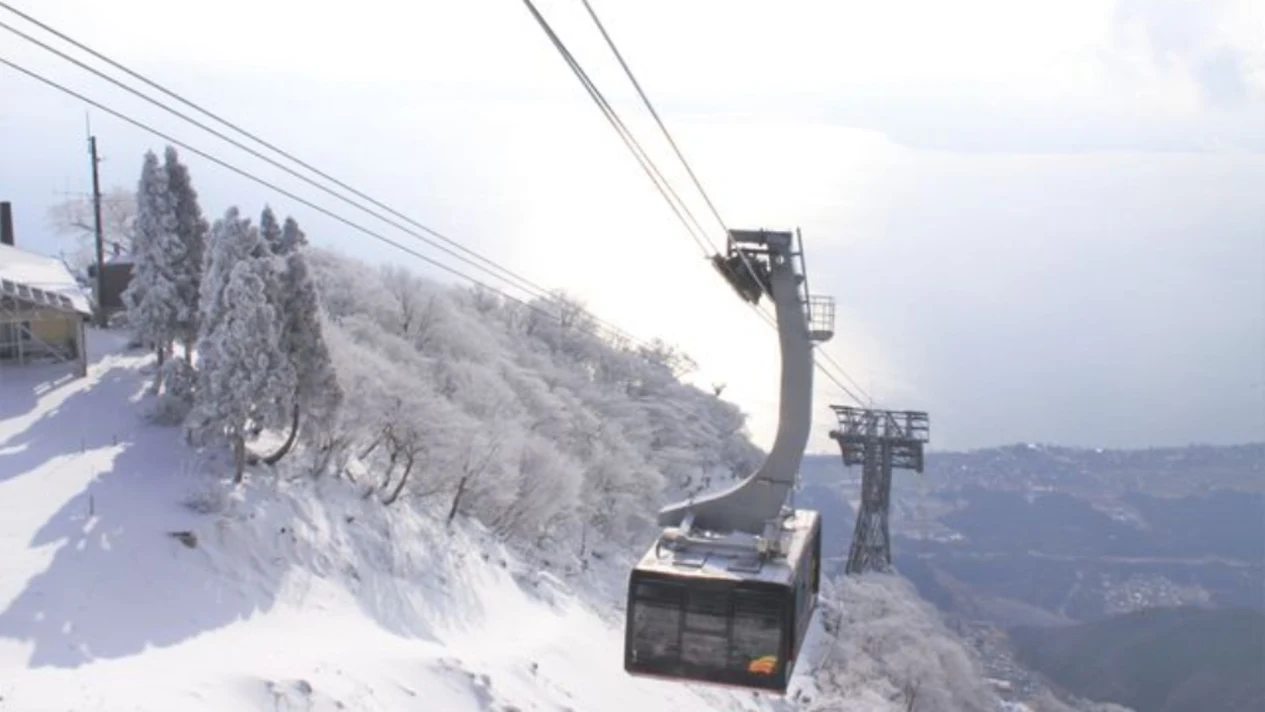 Biwako Valley Cable Car Round Trip Ticket