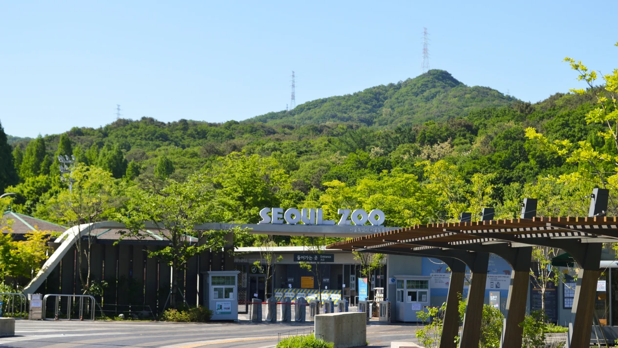 首爾大公園門票