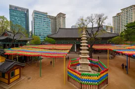 Іш киімдегі семіз әйелдердің порно фотолары