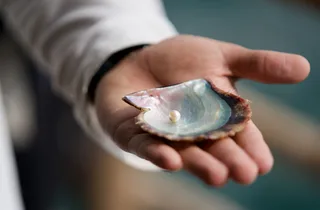 Suwaidi Pearls Farm Ras al-Khaimah at Ras Al Khaimah