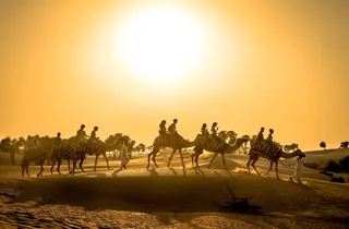Dubai Desert Sunset Guided Adventure at Dubai