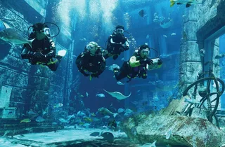 Scuba Diving Experience at The Lost World Aquarium Dubai at Dubai