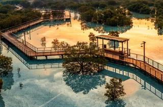 Jubail Mangrove Park ticket in Abu Dhabi at Abu Dhabi
