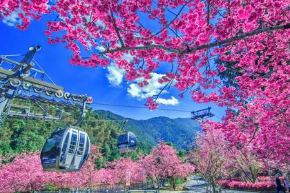 Formosan Aboriginal Culture Village