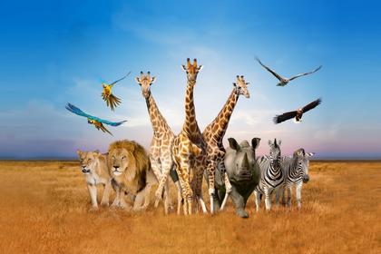 Tiket Safari World Bangkok